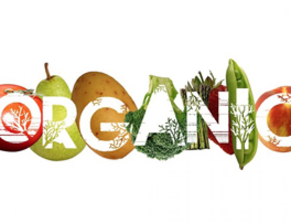 ¿Que significa organico?