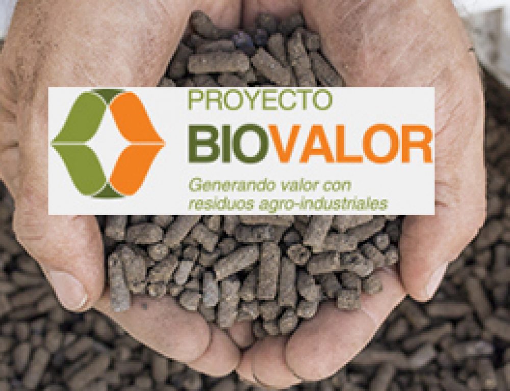 Proyecto BioValor