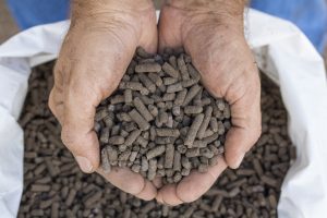 Pellet de BioTerra